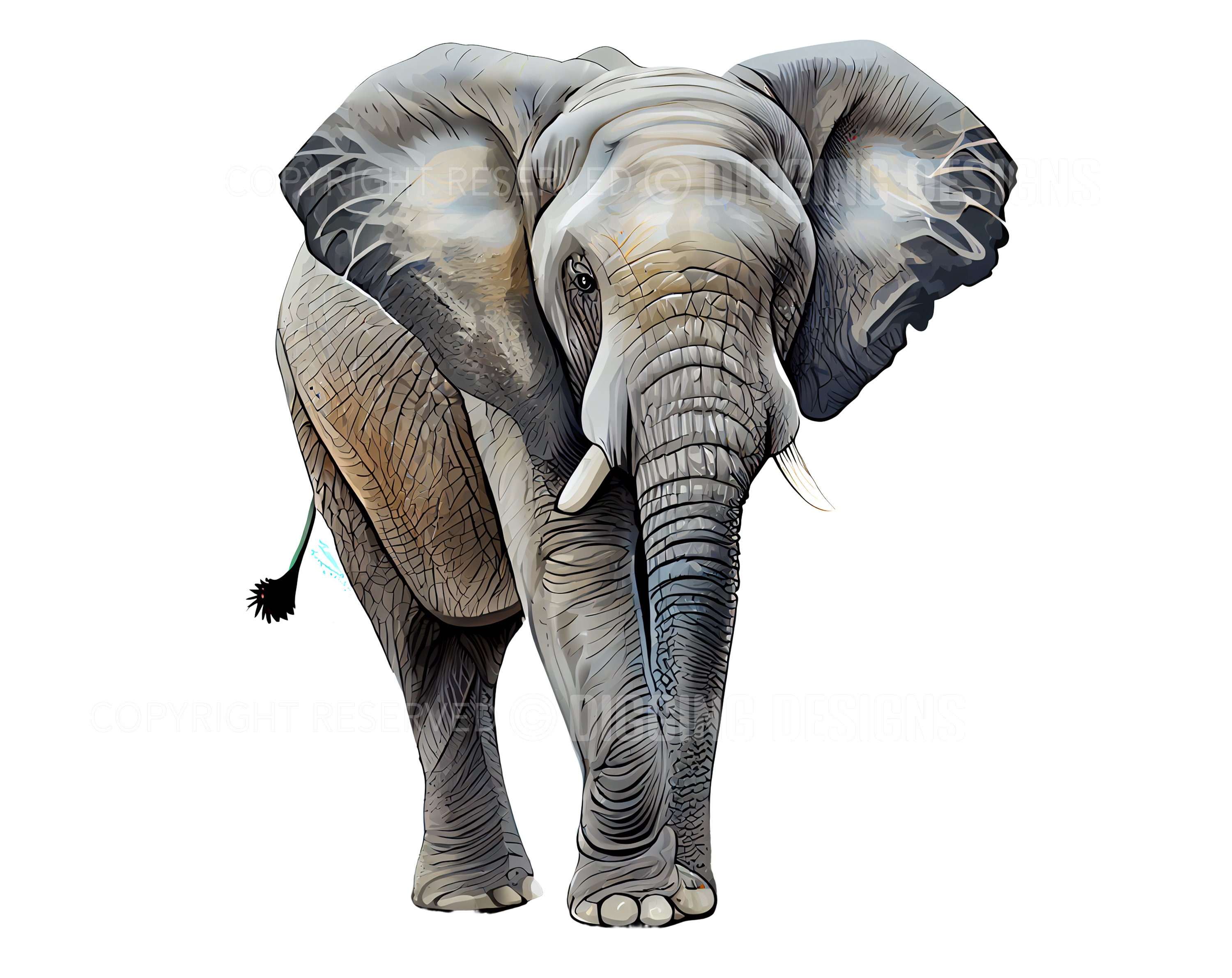 Set of 21 Elephant Realistic Clipart Animal Clip Art - Etsy