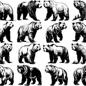 100+ Grizzly Bear SVG-bundel, Instant Digitale Download, PNG, SVG Cut-bestanden