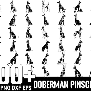 Más de 100 paquetes SVG de Doberman Pinscher, descarga digital instantánea, PNG, archivos de corte SVG