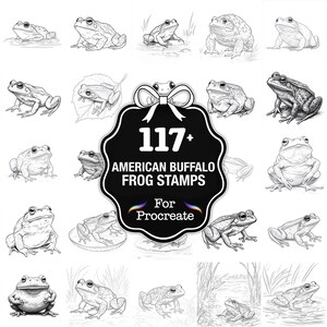 May include: A collection of 117+ American Buffalo frog stamps for Procreate. The image features various detailed line drawings of frogs in different poses, arranged around a central label with the product information.