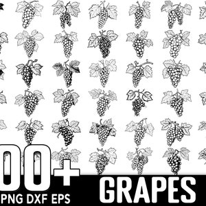 100+ Wine Grapes SVG Bundle, Instant Digital Download, PNG, SVG Cut Files