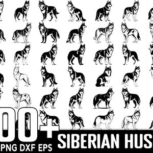 Plus de 100 bundles SVG Husky sibérien, téléchargement numérique instantané, PNG, fichiers coupés SVG