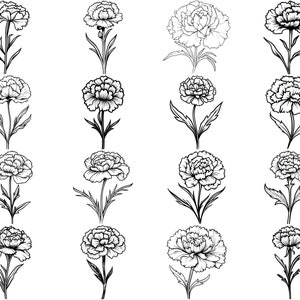 100+ Carnation Flower SVG Bundle, Instant Digital Download, PNG, SVG ...