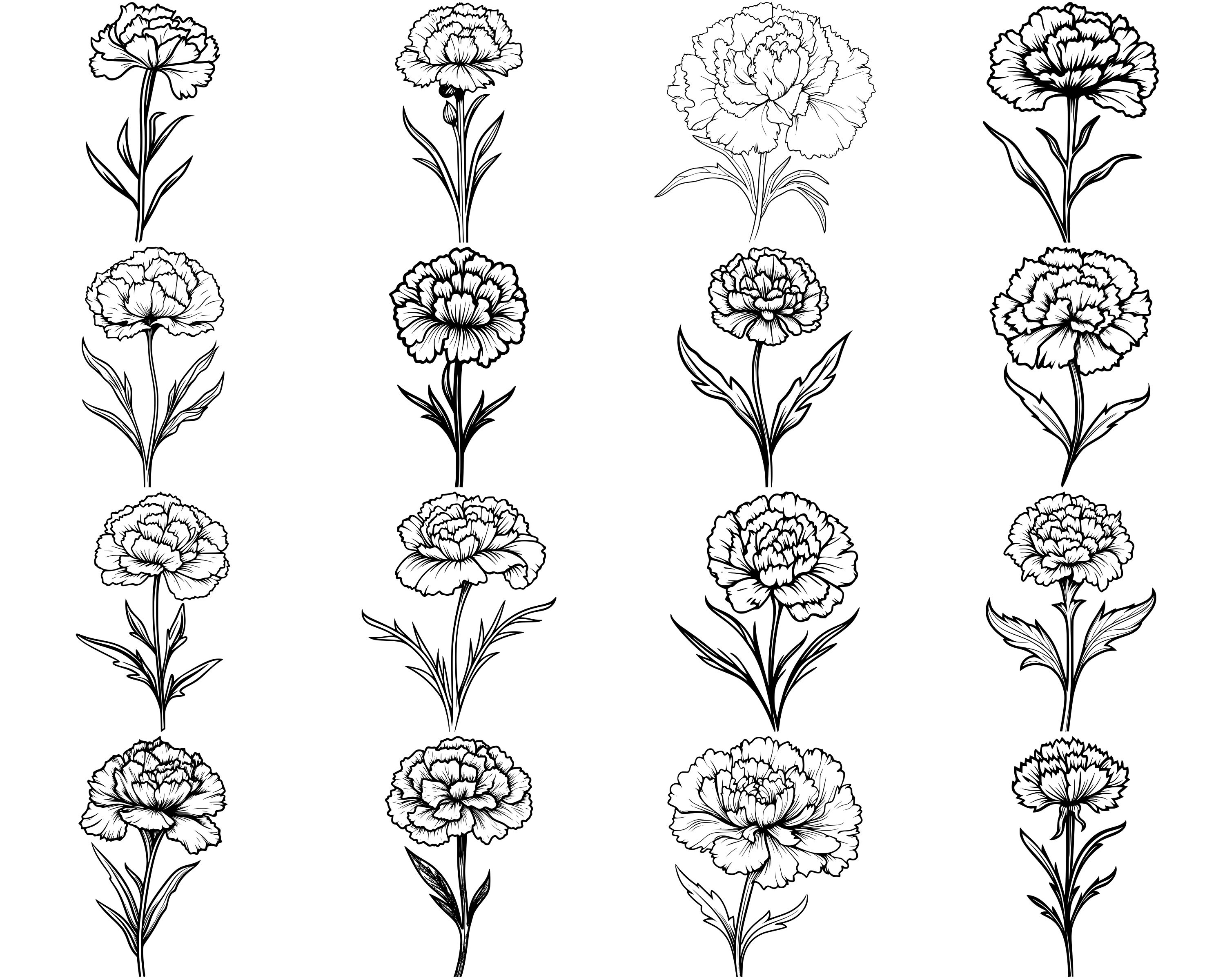 100+ Carnation Flower SVG Bundle, Instant Digital Download, PNG, SVG ...