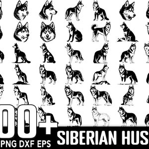 100+ Siberian Husky SVG Bundle, Instant Digital Download, PNG, SVG Cut Files