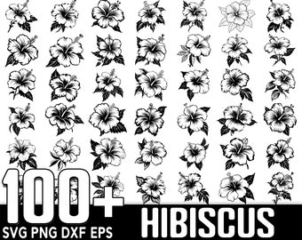 100+ Hibiscus SVG Bundle, Instant Digital Download, PNG, SVG Cut Files