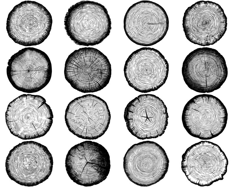 100+ Tree Slice Slab SVG Bundle, Instant Digital Download, PNG, SVG Cut ...