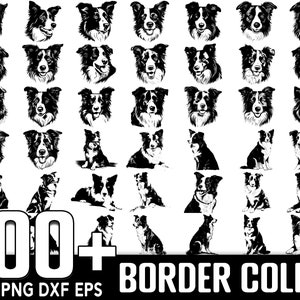 Mais de 100 pacotes Border Collie SVG, download digital instantâneo, PNG, arquivos de corte SVG