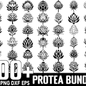 Mais de 100 pacotes SVG de flores Protea, download digital instantâneo, arquivos PNG, SVG cortados