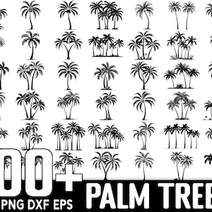 100+ palmboom SVG-bundel, direct digitaal downloaden, PNG, SVG-bestanden knippen