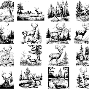 Puede incluir: Una colecci&oacute;n de ilustraciones en blanco y negro que representan ciervos en varios entornos forestales. Los ciervos se representan en una variedad de poses, incluyendo de pie, caminando y corriendo. Las ilustraciones son detalladas y realistas, capturando la belleza y la gracia de estos animales.