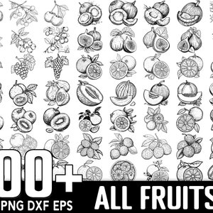 Pacchetto SVG di frutta, download digitale istantaneo, PNG, file di taglio SVG
