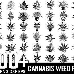 100+ Cannabis Weed SVG Bundle, sofortiger digitaler Download, PNG, SVG geschnittene Dateien