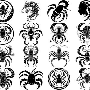 Plus de 100 fichiers Scorpion, téléchargement numérique instantané, PNG, SVG
