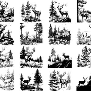 Puede incluir: Una colecci&oacute;n de 12 ilustraciones en blanco y negro que representan ciervos en diferentes entornos forestales. Cada imagen representa un ciervo de pie en un bosque con &aacute;rboles y follaje.