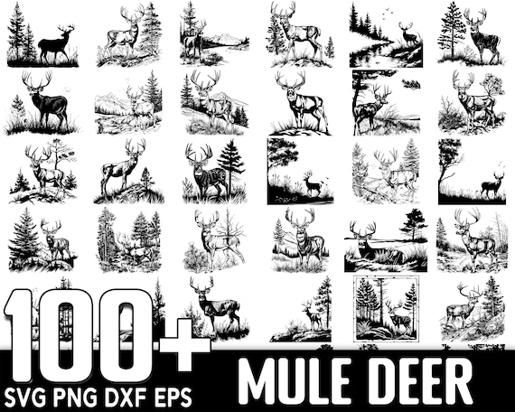 100+ Mule Deer SVG Bundle, Instant Digital Download, PNG, SVG Cut Files