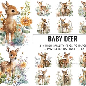 Set of 21, Baby Deer Clipart, Deer Png, Premium Quality Bundle, Instant Digital Download