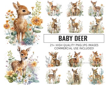 Set of 21, Baby Deer Clipart, Deer Png, Premium Quality Bundle, Instant Digital Download