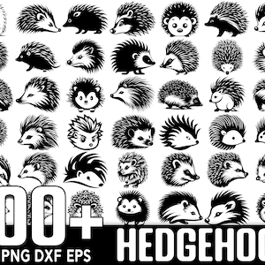Mais de 100 pacotes Hedgehog SVG, download digital instantâneo, PNG, arquivos de corte SVG