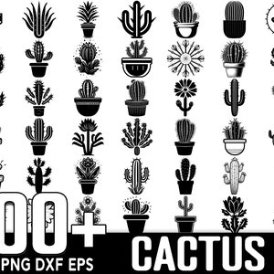 100+ Cactus SVG-bundel, Instant Digitale Download, PNG, SVG Cut-bestanden