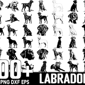 100+ Labrador SVG Bundle, sofortiger digitaler Download, PNG, SVG geschnittene Dateien