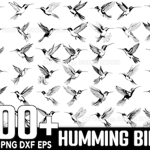Pacchetto SVG di 100 colibrì, download digitale istantaneo, PNG, file di taglio SVG