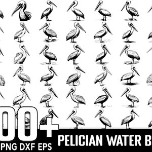 100+ Pelikan Wasservogel SVG Bundle, sofortiger digitaler Download, PNG, SVG geschnittene Dateien