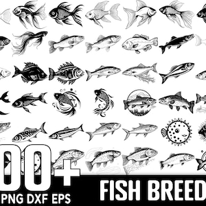 100+ Fish Breed SVG Bundle,Instant Digital Download, PNG, SVG Cut Files