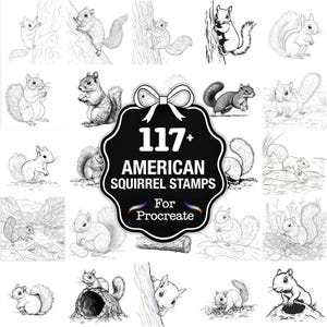 May include: A collection of 117+ American squirrel stamps for Procreate. The image features various black and white illustrations of squirrels in different poses, with a central emblem showcasing the product's name and purpose.
