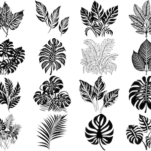 Plus de 100 paquets SVG de feuilles tropicales, téléchargement numérique instantané, PNG, fichiers coupés SVG