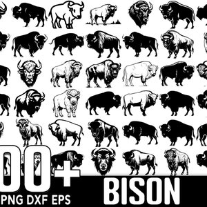 100+ Bison SVG Bundle, Instant Digital Download, PNG, SVG Cut Files