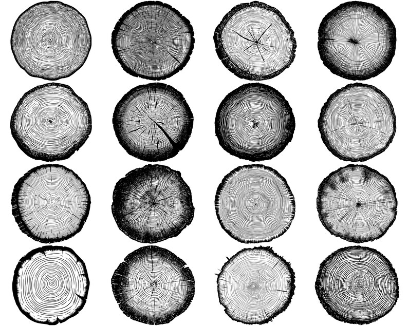 100+ Tree Slice Slab SVG Bundle, Instant Digital Download, PNG, SVG Cut ...