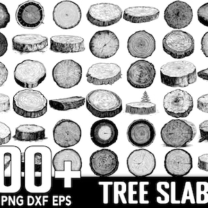100+ Tree Slab SVG Bundle,Instant Digital Download, PNG, SVG Cut Files