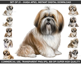 Set of 21, Lhasa Apso PNG, Dog Png, Premium Quality Bundle, Instant Digital Download