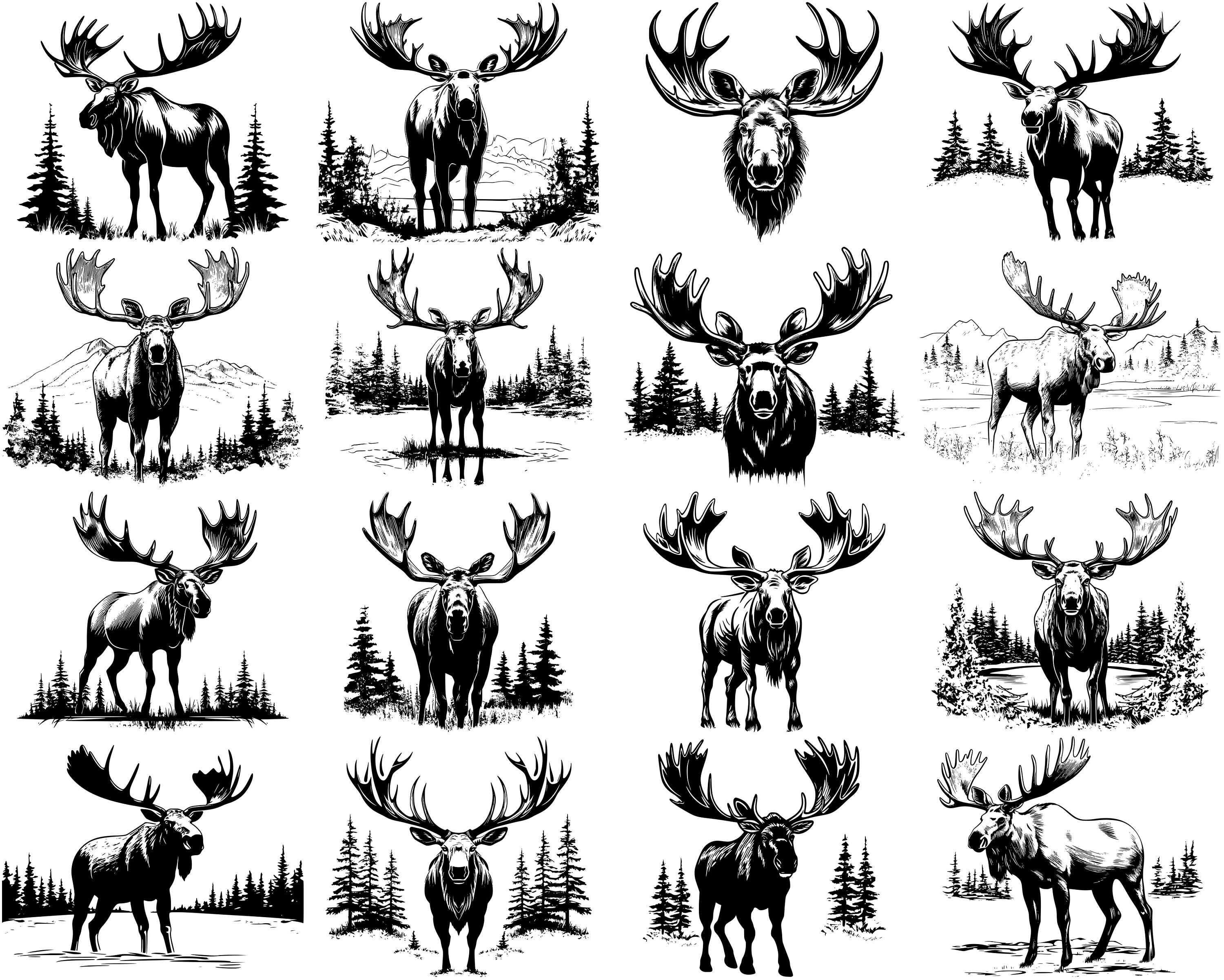 Moose Riders Svg 100+ Moose SVG Bundle, Instant Digital Download, PNG, SVG Cut Files - Etsy
