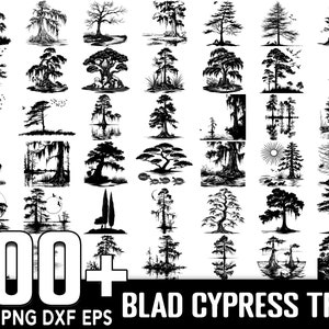 Oltre 100 fattorie di alberi di cipresso calvo, download digitale istantaneo, PNG, file di taglio SVG