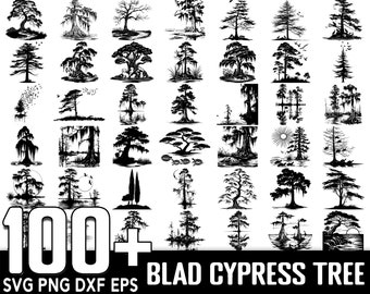 100+ Bald Cypress Tree Farmhouse ,Instant Digital Download, PNG, SVG Cut Files