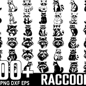 100+ Raccoon SVG Bundle, Instant Digital Download, PNG, SVG Cut Files
