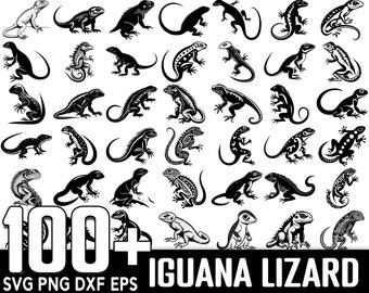 100+ Iguana Lizard SVG Bundle, Instant Digital Download, PNG, SVG Cut Files