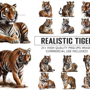 Tiger Realistic Clipart, Tiger Clip Art, Premium Quality Arts, Instant Digital Download