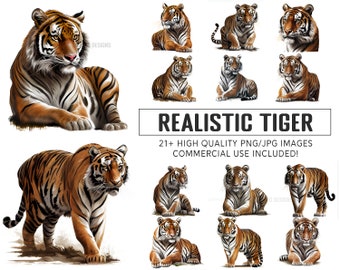Clipart realistiche di tigri, clipart di tigri, arti di qualità premium, download digitale istantaneo