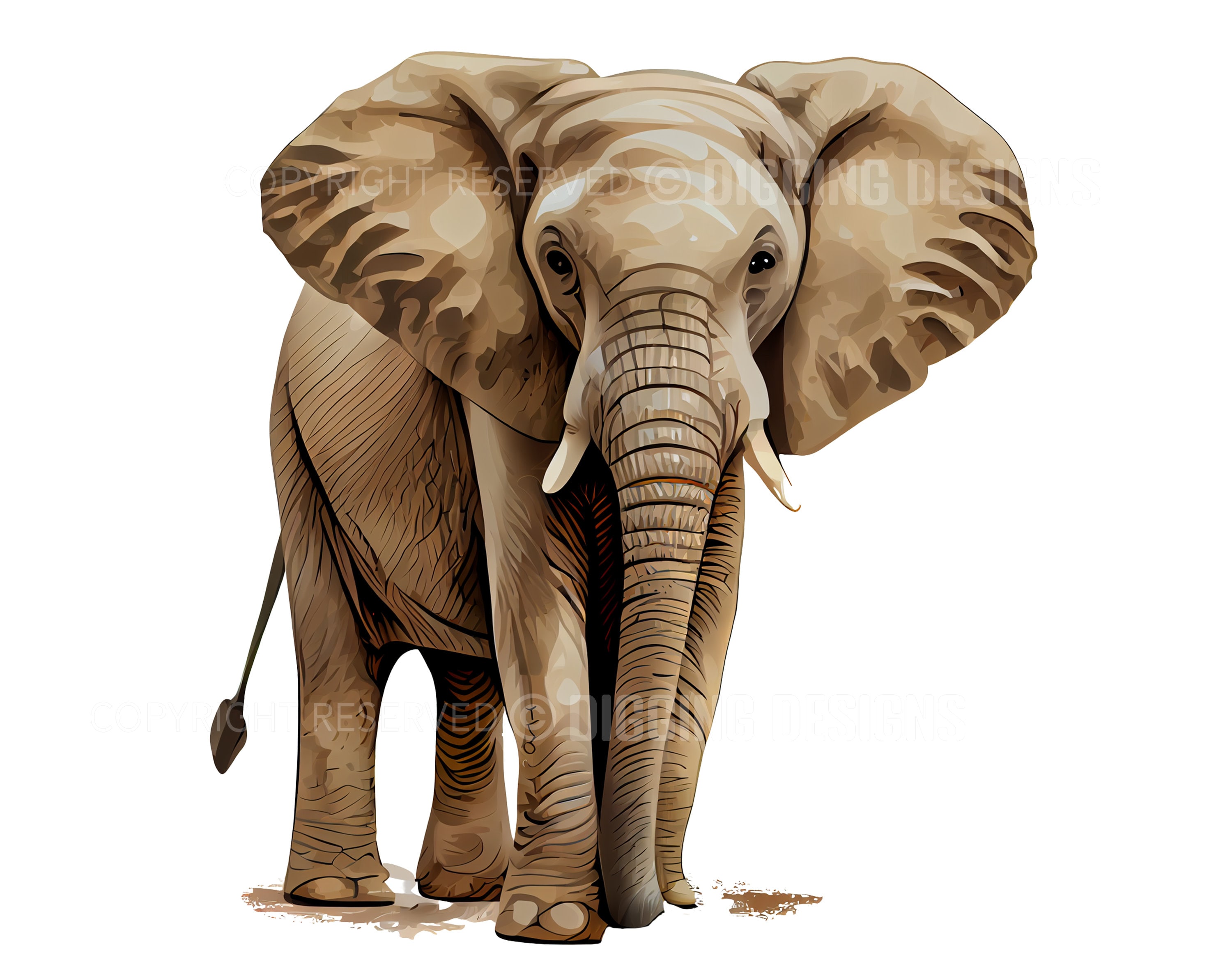 Set of 21 Elephant Realistic Clipart Animal Clip Art - Etsy UK