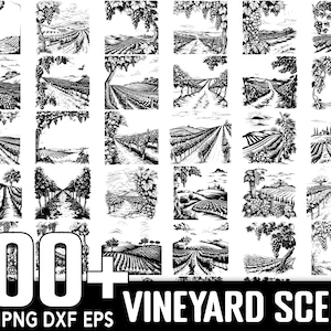 Pacchetto SVG di oltre 100 scene di vigneto, download digitale istantaneo, PNG, file di taglio SVG