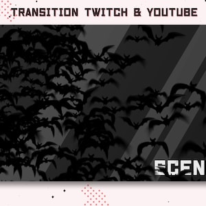 Animated Twitch Hallowween bat Trasition / Stream starting soon / Overlay / Streampack / Scenes / Spooky / Horror