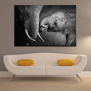 Puede incluir: Una fotografía en blanco y negro de dos elefantes, uno más grande con su trompa tocando la boca del más pequeño. Los elefantes están en primer plano, con el fondo desenfocado.