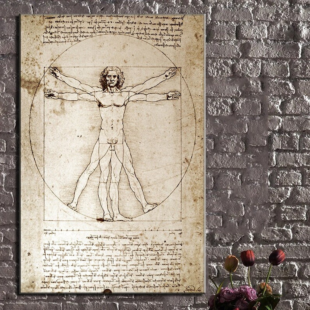 Leonardo Da Vinci Anatomía Dibujo Pintor - Etsy España