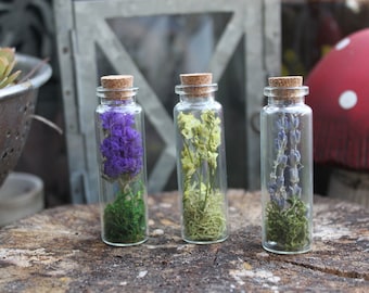 Dried Flower Jars Set, Mini Floral Jars, preserved purple flowers, botanical curio, herbarium, cottagecore decor, fairy grunge nature gift