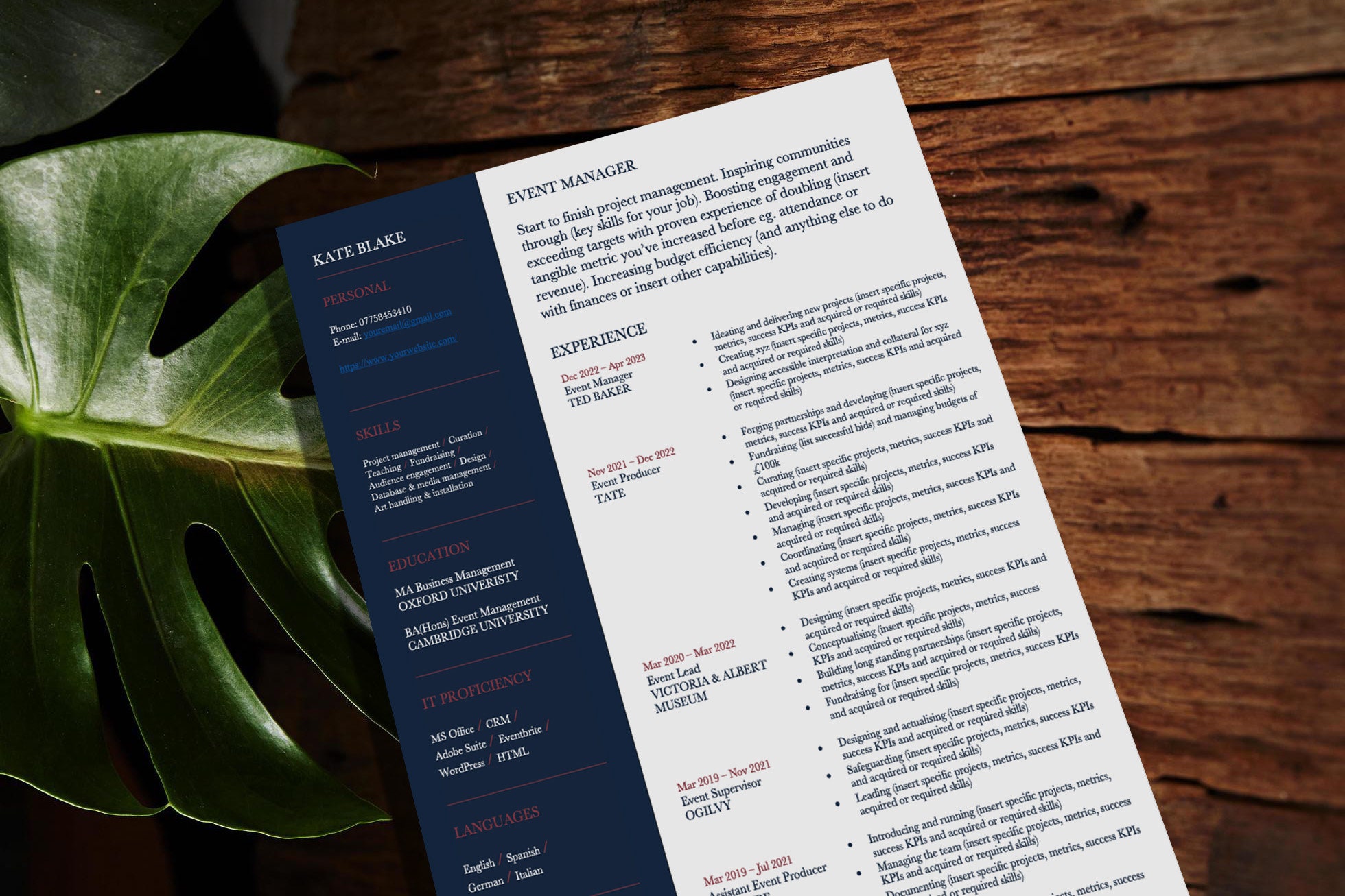 Custom Cv Pattern Custom CV Design and Write Up, Custom Resume, Custom Cover Letter ...