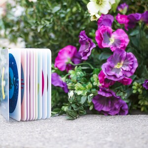May include: A small, colorful book with a blue cover featuring a map of the world. The book is standing upright on a gray surface in front of a bouquet of purple flowers.