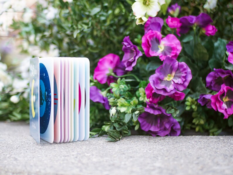 May include: A small, colorful book with a blue cover featuring a map of the world. The book is standing upright on a gray surface in front of a bouquet of purple flowers.